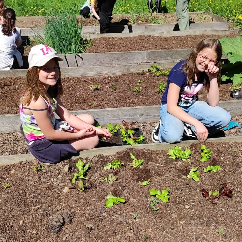 Die Gartensaison beginnt…..
