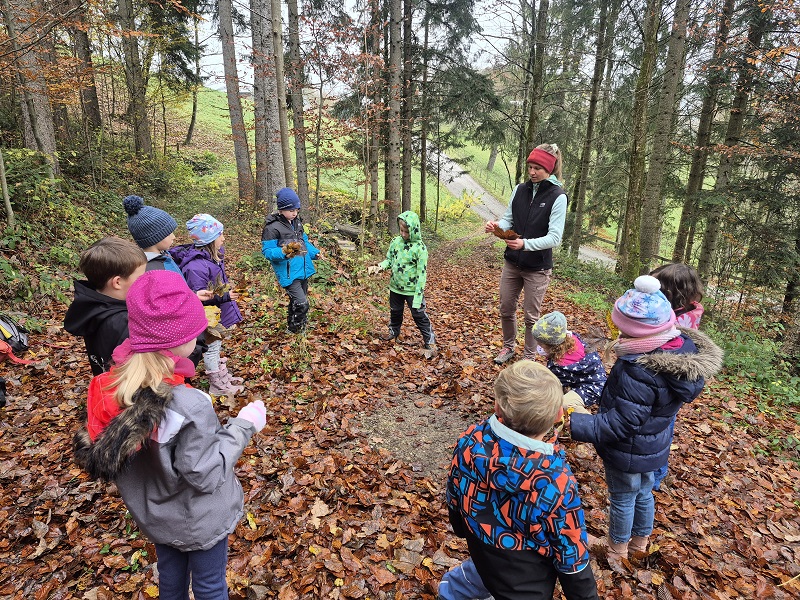 You are currently viewing Waldtag 1. Klasse