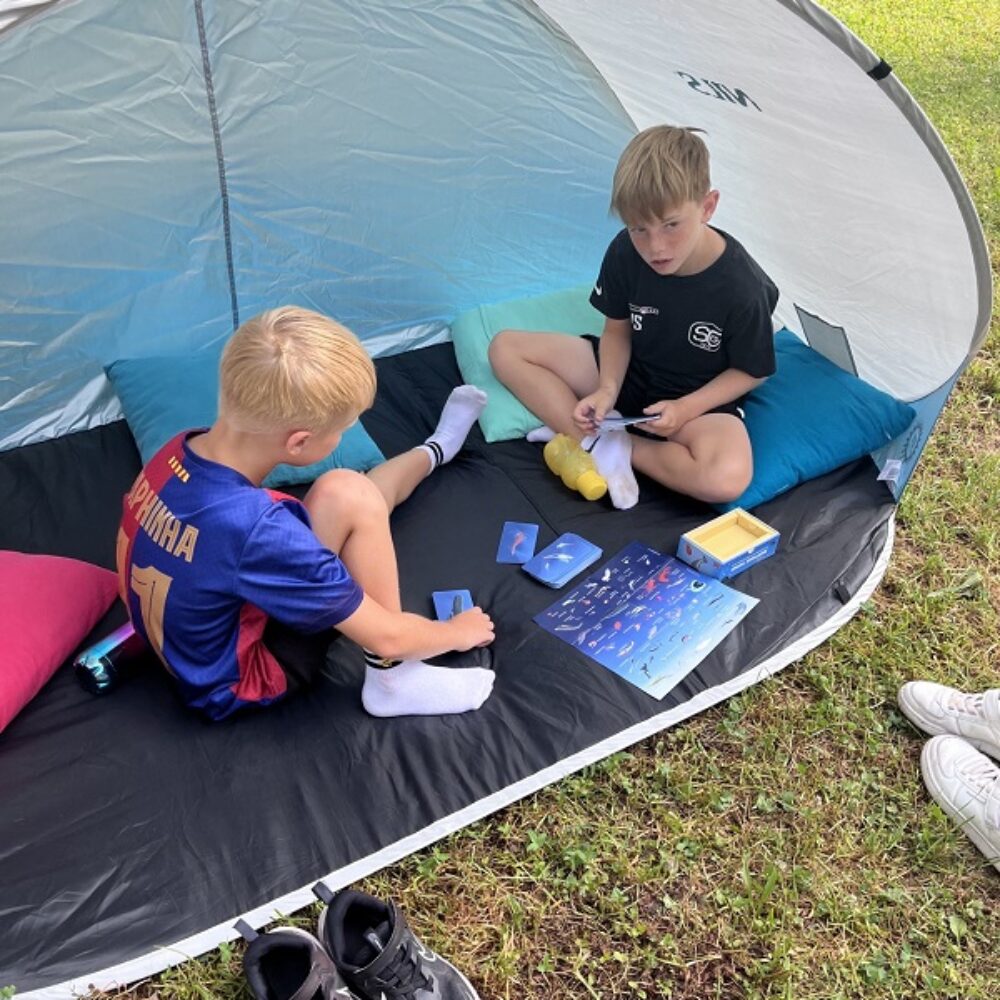 Lesepicknick